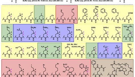 Light Driven Protein Modification Department Of Chemistry