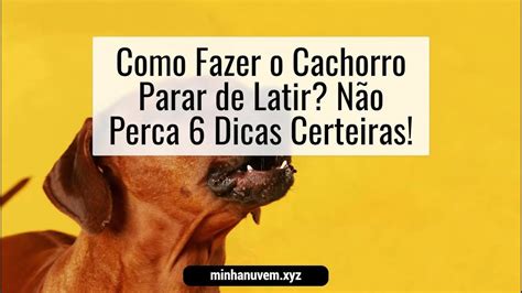 Como Fazer o Cachorro Parar de Latir Não Perca 6 Dicas Certeiras YouTube