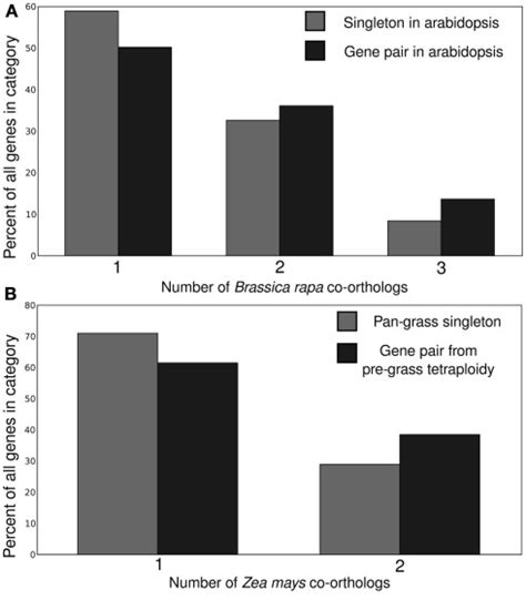 Impact Of Retention In A Previous Whole Genome Duplication On Retention