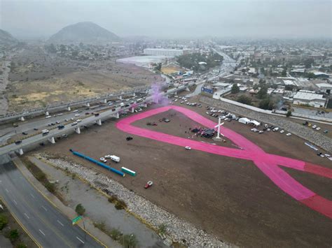 Se Unen Durango Y Coahuila Con Mo O Rosa M S Grande Del Mundo Rompe