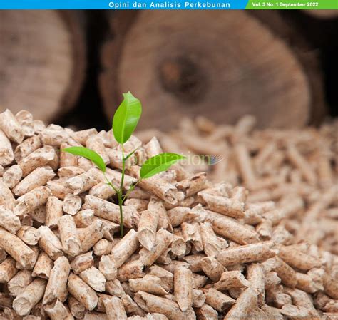 Wood Pellet Sebagai Alternatif Sumber Energi Terbarukan DePlantation