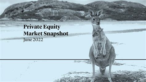 Cleary Gottlieb Private Equity Snapshot June