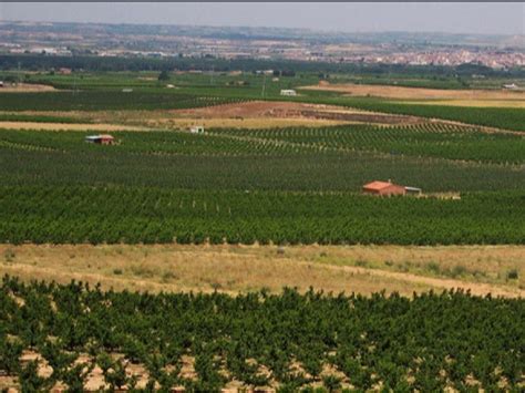 El Departament D Agricultura Convoca Els Aju Govern Cat