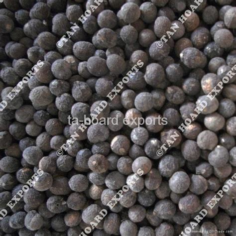 fish berries (India Trading Company) - Plant Seed - Agricultural ...