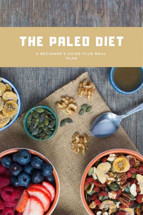 The Paleo Diet — A Beginners Guide Meal Plan Paleo Diet Paleo Diet For Beginners Paleo