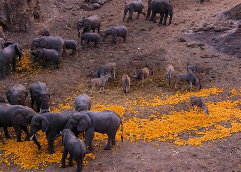 Darwendale Recreational Park Zimbabwe Tourism