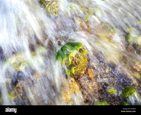 Chalk Formation In Waterfall Stock Photo Alamy