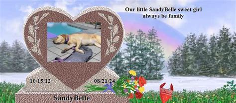 Sandybelle S Rainbow Bridge Pet Loss Memorial