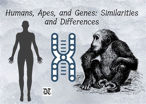 Humans, Apes, and Genes: Similarities and Differences – II - Different Truths | Similarities and ...