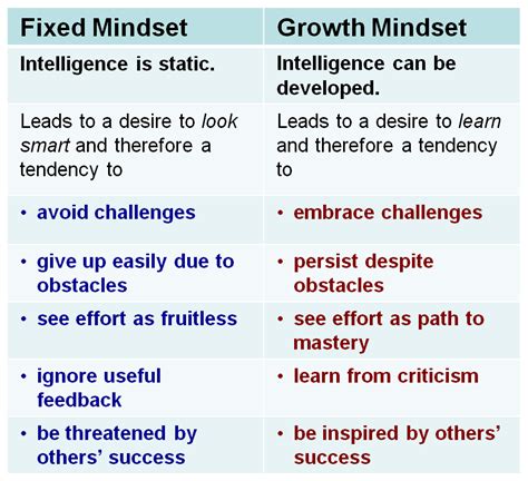 Have You Got a Successful Mindset? | Cooler Insights