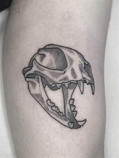 M S De Tatuajes De Calaveras De Gatos Que Son Realmente Buenos