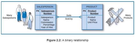 Entity Relationship Models Flashcards Quizlet