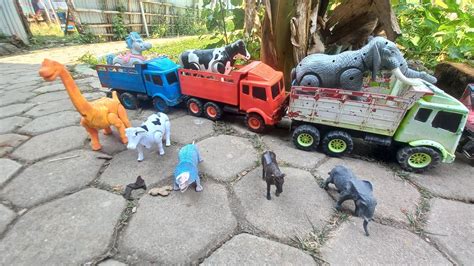 Amazing Truk Oleng Angkut Hewan Indukan Sapi Gajah Dinosaurus