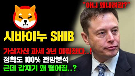 시바이누 Shib 긴급 가상자산 관세 3년 미뤄지자마자 하락 정확도 100 전망분석 내가사면 떨어진다 왜