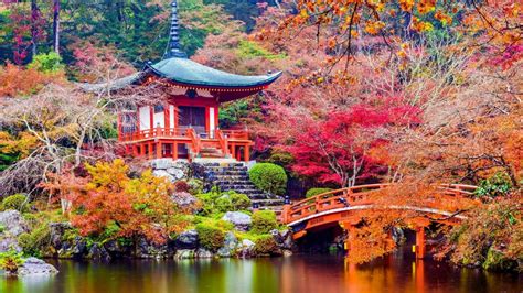 Best Things To Do In Kyoto Charming Kyoto Awaits Uncover Kyoto S