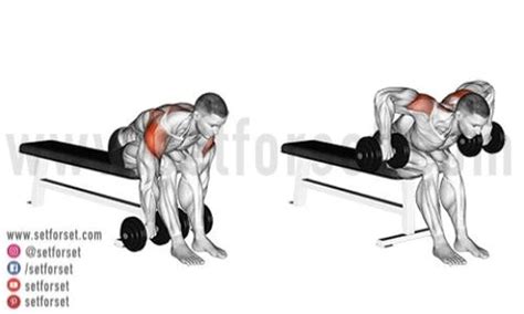 12 Best Rear Delt Dumbbell Exercises for 3D Shoulders - SET FOR SET