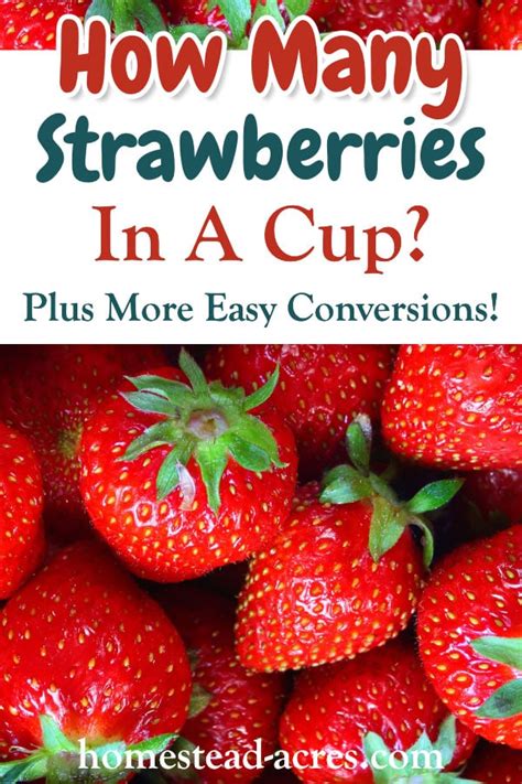 Strawberry Measures And Equivalents That Make Cooking Easier Homestead Acres