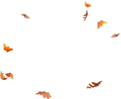 Download Falling Leaves Png Images Flying Autumn Leaf Png Free