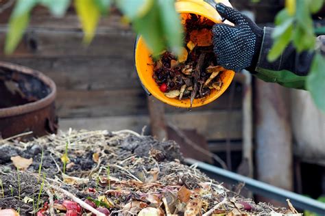 Compost obligatoire comment réussir son compostage France Serres