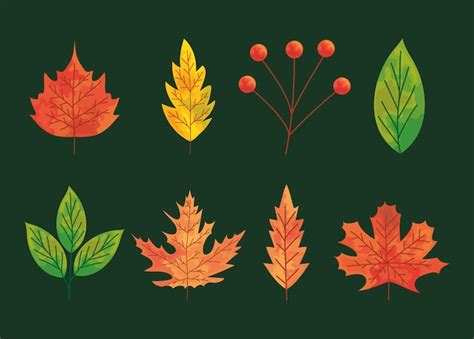 Premium Vector Autumn Leaves Icon Set