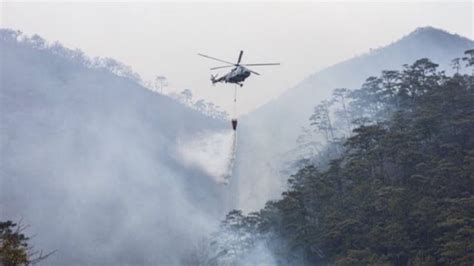 Declaran Emergencia Por Incontrolable Incendio Forestal En Los Chimalapas Oaxaca Heraldo De