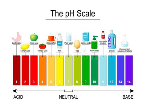 O Diagrama De Escala De Cores Universal Do Ph Do Indicador Da Escala Do