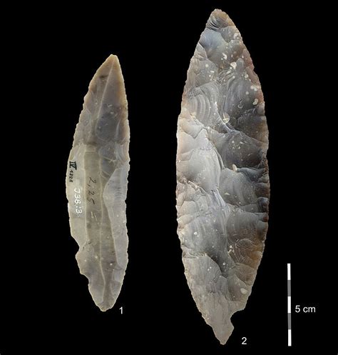 Homo Sapiens Erreichte Das N Rdliche Europa Schon Vor Jahren