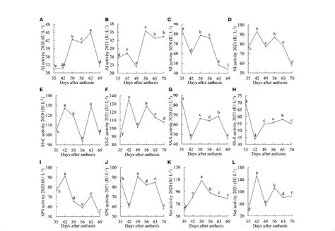 Dynamic changes in sucrose metabolism enzyme activities between 2020 ...