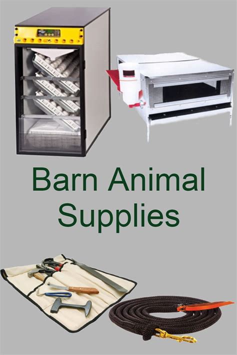 Barn Animal Equipment & Supplies - Vet Tech - Ag Educational Solutions ...