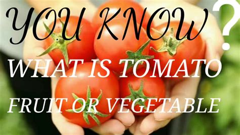 YOU KNOW WHAT IS TOMATO FRUIT OR VEGETABLE YouTube