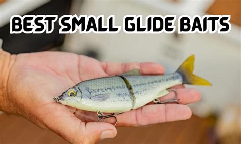 5 Best Small Glide Baits For 2024 Barb Catch Fishing