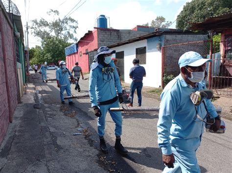 Casos Positivos De Dengue Confirma El Minsa En Nicaragua El