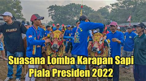 Suasana Lomba Karapan Sapi Piala Presiden Youtube