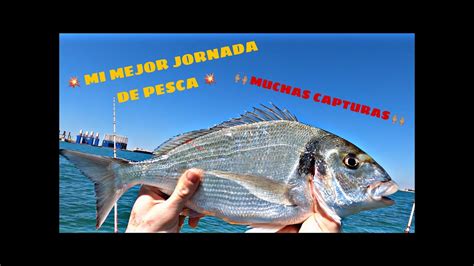 Jornad N A Tope De Capturas Doradas Bailas Pargo Palometa