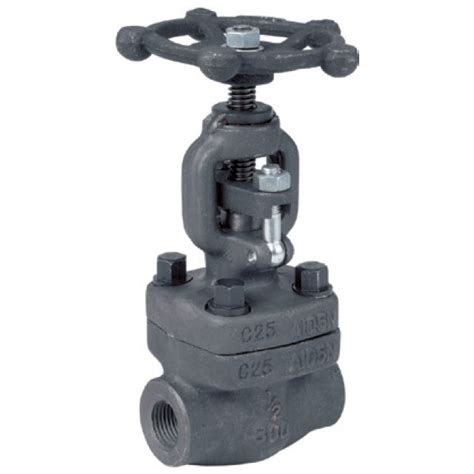 Api 602 Forged Steel Globe Valve