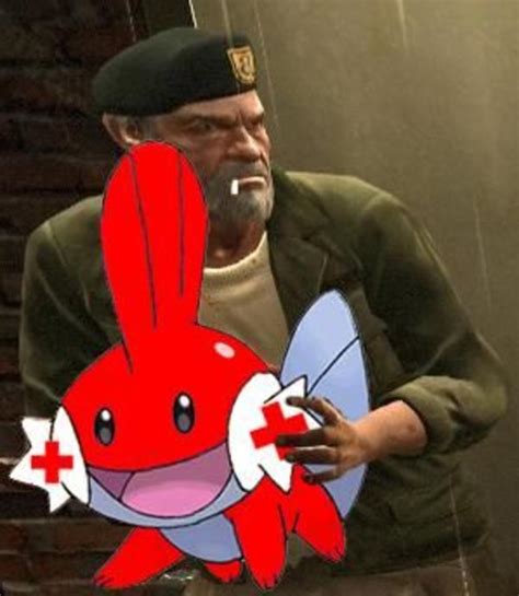 Med Kip Here I Herd U Liek Mudkips Know Your Meme