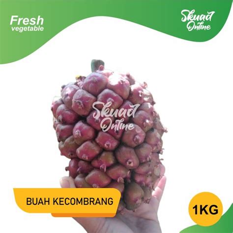 Kecombrang Honje Segar Buah Onje Kecombrang Lazada Indonesia