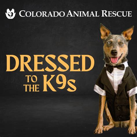 Colorado Animal Rescue - Animal Shelter | Glenwood Springs