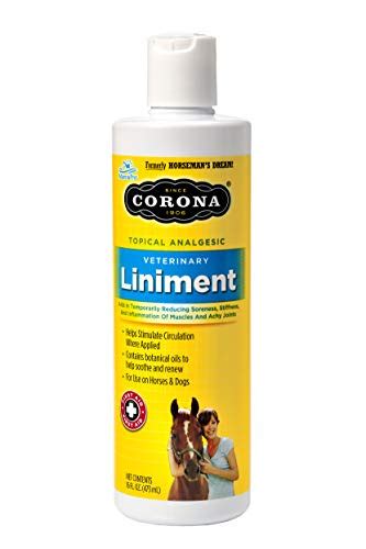 Best Horse Liniment For Humans, According To Riders