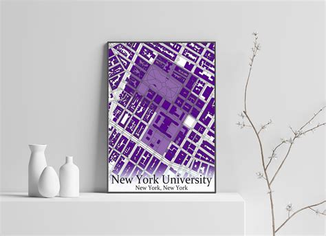 Colored Campus Map of NYU New York University and All Its Roads - Etsy