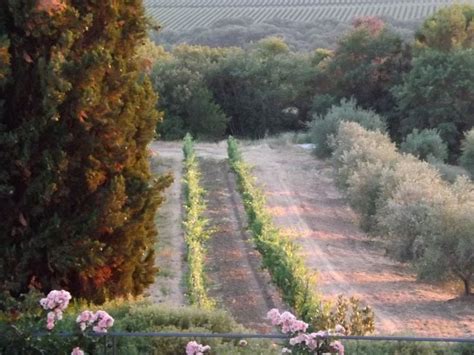 Castello Banfi Winery In Montalcino Italy En Jardin