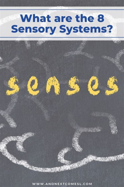 What Are The 8 Sensory Systems Your 8 Senses Explained Video Video