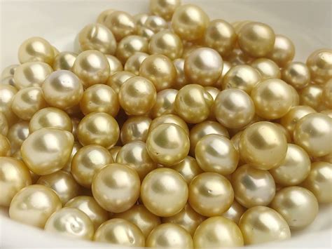 Golden South Sea Loose Pearls Ovals Drops 10mm 12mm AA Etsy