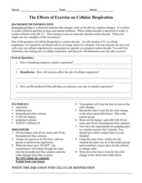 Cellular Respiration Exercise Lab