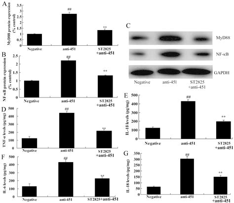 Microrna‑451 Relieves Inflammation In Cerebral Ischemia‑reperfusion Via