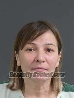 Recent Booking Mugshot For ANNA MOROZOVA In Charleston County South