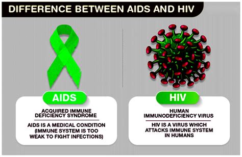 Difference Between Aids And Hiv Comprehensive Explanation