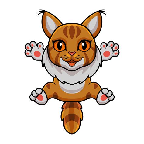 Cute Maine Coon Cat Cartoon Vector Art At Vecteezy