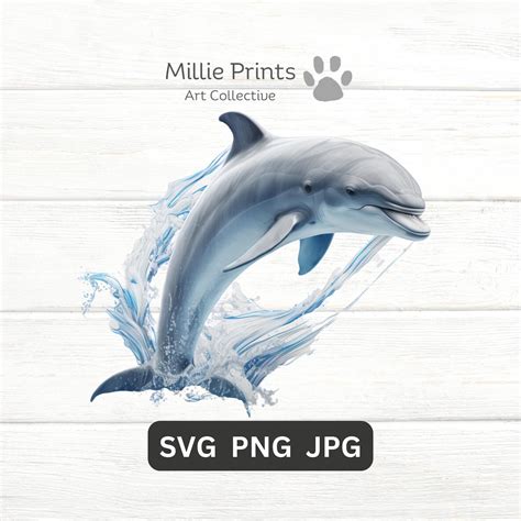 Dolphin Svg Png  Dolphin Cut File Dolphin Cricut Clipart Graphics