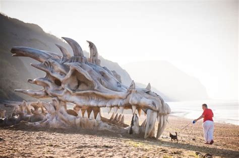 Video: Discovered a skeleton of a Dragon of 18 meters in China ? Real ...